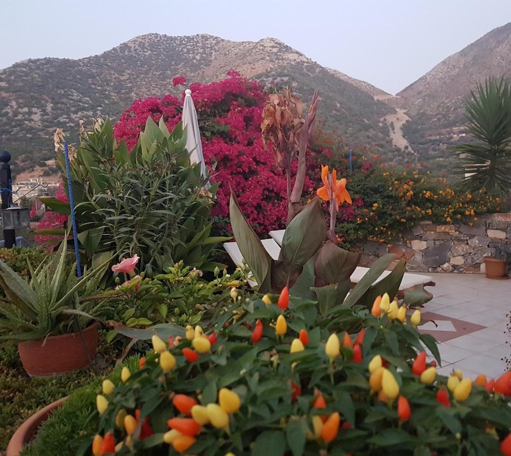 Sea Flower Villa Bali Crete Vlikhádha Eksteriør billede