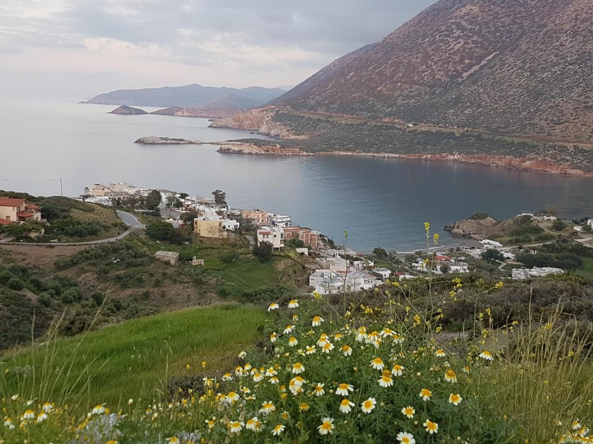 Sea Flower Villa Bali Crete Vlikhádha Eksteriør billede