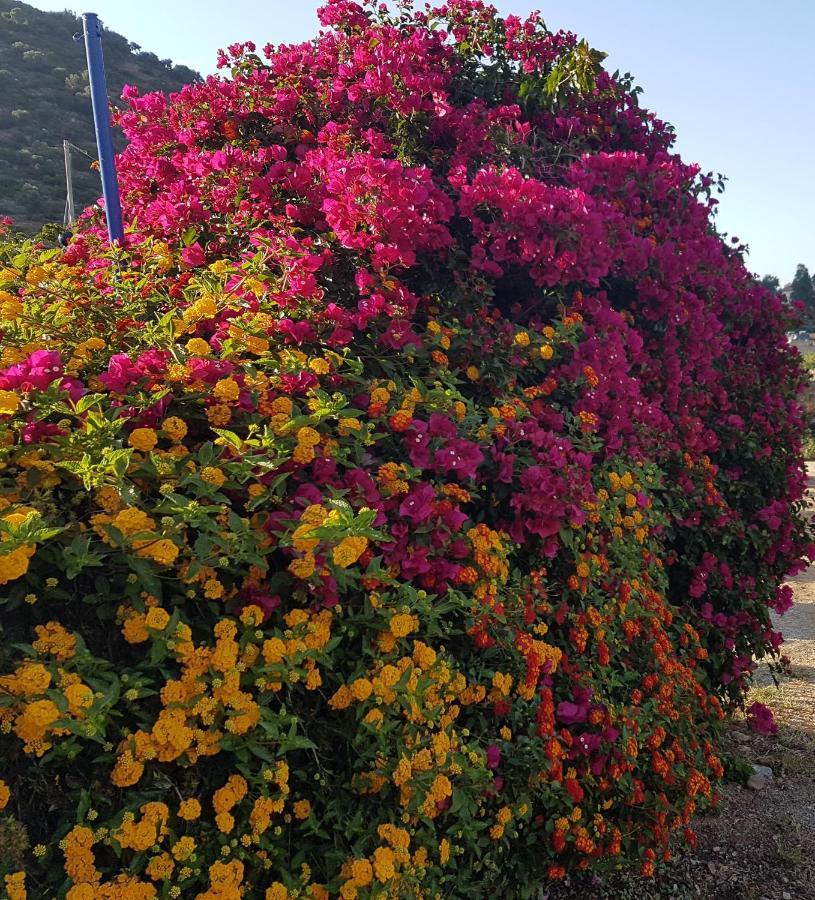 Sea Flower Villa Bali Crete Vlikhádha Eksteriør billede