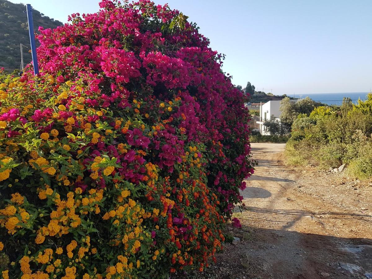 Sea Flower Villa Bali Crete Vlikhádha Eksteriør billede